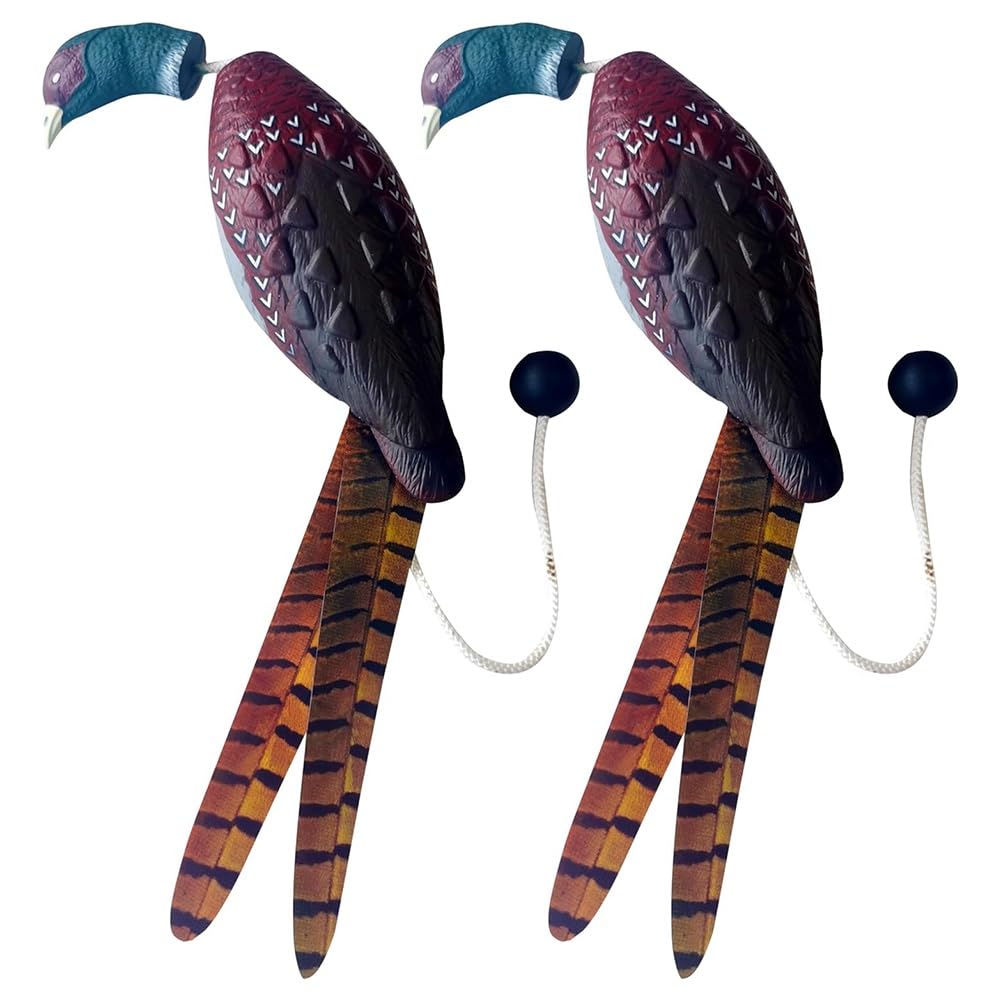 Fowecry 2 Pcs Pheasant Dummy Bumper Toy for Hunting Retriever Dog Training, Hunting Duck Recognition Trainers,Pheasants