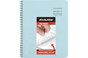 AT-A-GLANCE 2025 Planner, Weekly & Monthly, 8-1/4" x 11", Large, Contemporary Lite, Sky Blue (7095XL3825)