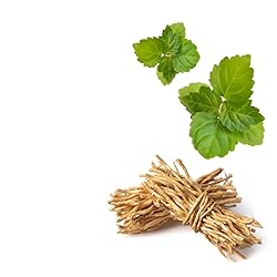 VINEVIDA [32 Fl Oz] Scent NO. 1200 Fragrance Oil