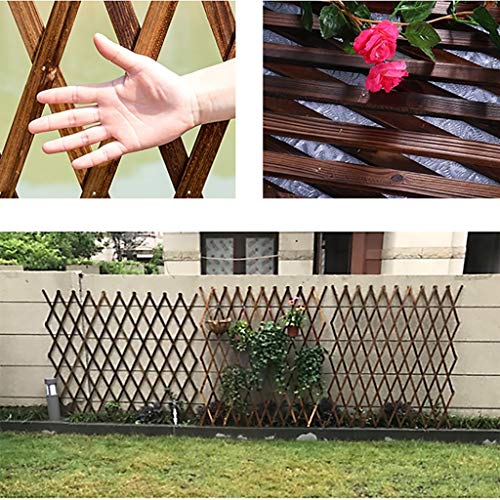 Rankgitter/Multifunktions-Anlage Gitter Klettergerüst/dekorative Gitter/Balkon Rankgitter/Ausziehbare Garten Spalier… – Bild 6