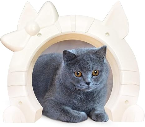 kitty pass cat door