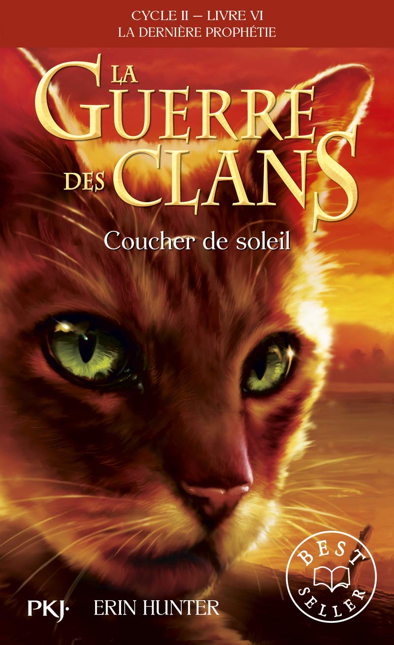 6 La Guerre Des Clans Ii Coucher De Soleil Amazon Fr Hunter Erin Carlier Aude Livres