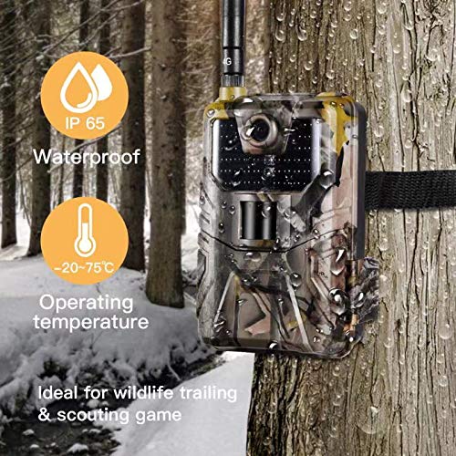 App 4G Wildkamera Jagd Foto Trap Trail Kamera 20mp 1080p Jagdkameras für Nachtsicht Lesen Sie Videos und Live-Fotos auf… – Bild 5