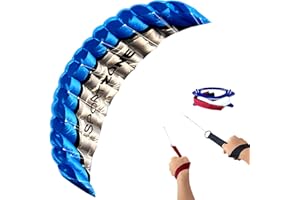HENGDA KITE 2.5m Dual Line Stunt Parafoil Kites Soft Stunt Kite for Beach Blue with Flying Tool