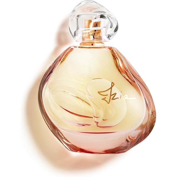 Amazon.com : Sisley Paris Eau du Soir - 100 mL - Eau De