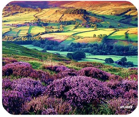 iFUOFF Nature Purple Flowers Meadow Mountain Scenic Large Mousepad Mouse Pad Mat