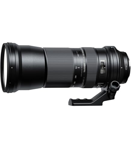 Amazon.com : Sigma 120-400mm f/4.5-5.6 AF APO DG OS HSM Telephoto