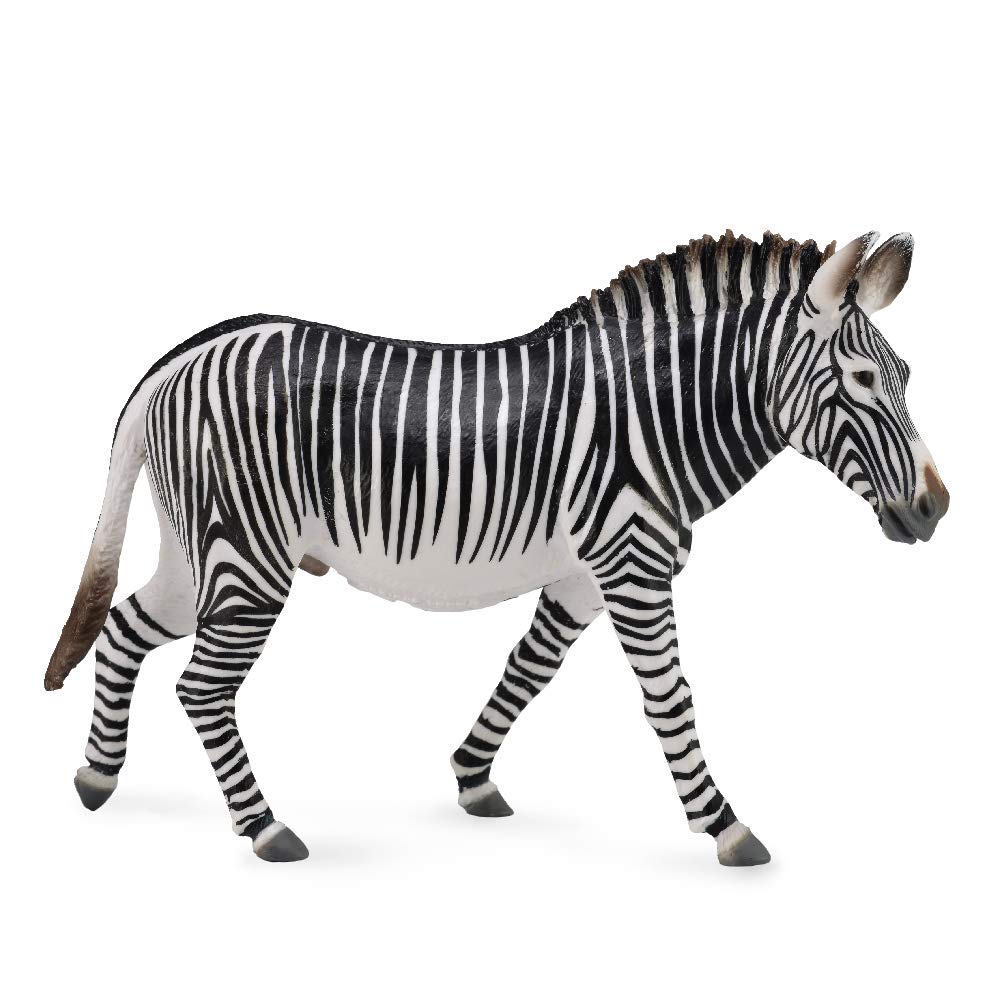 CollectA Grevy's Zebra