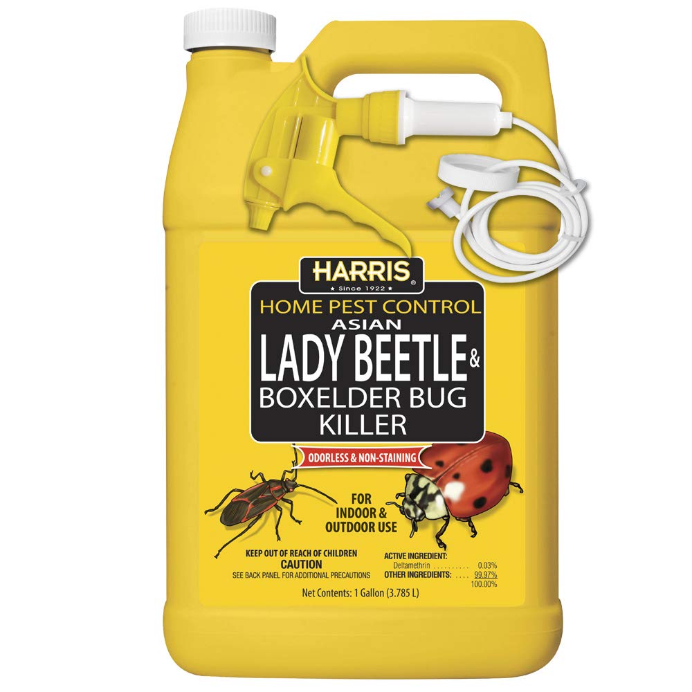 Harris Asian Lady Beetle & Box Elder Killer, Gallon Spray