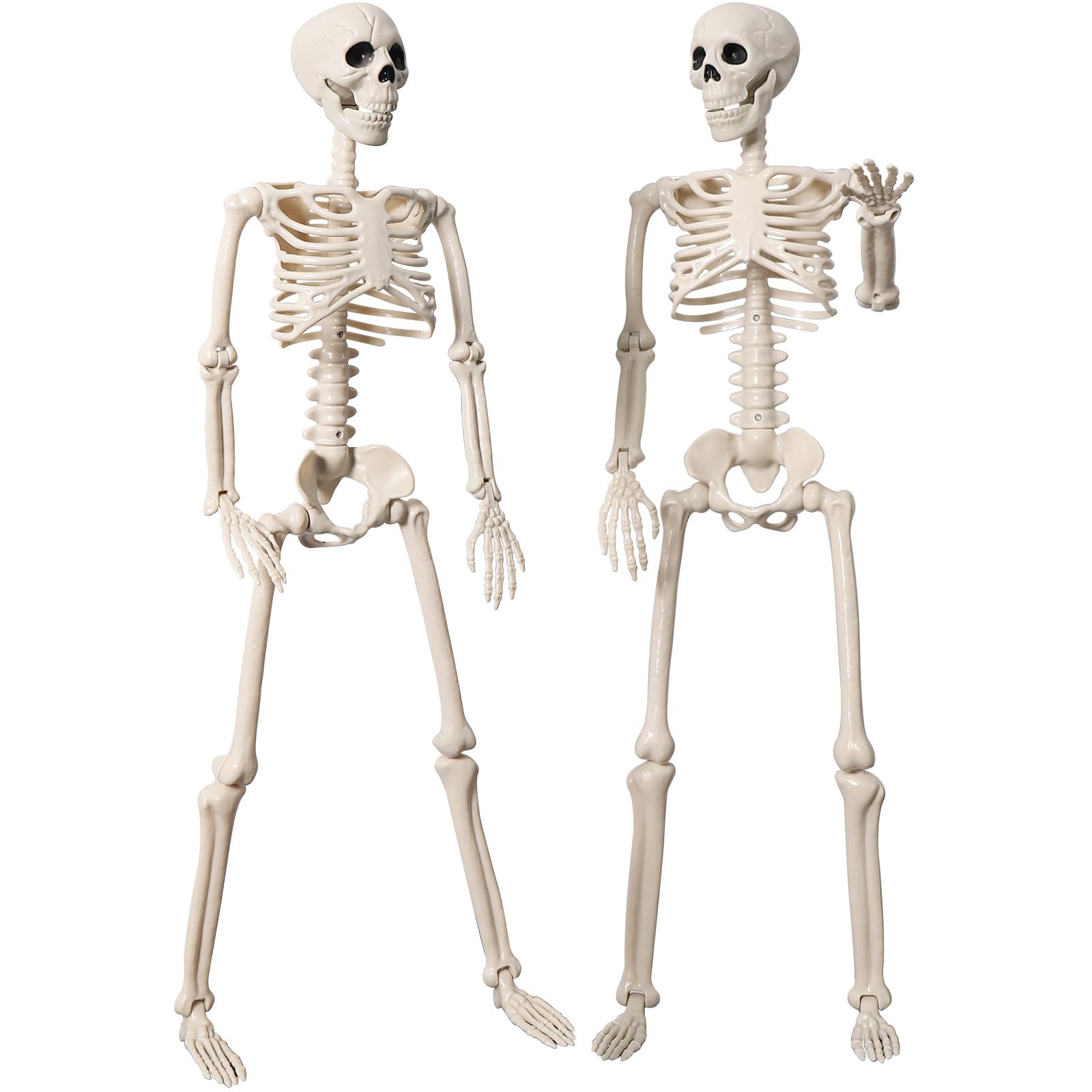 Photo 1 of 2 Pack 36" Halloween Skeleton Decorations, 3FT Realistic Full Body Movable Posable Joints Skeleton, Creepy Halloween Plastic Human Bones for Party Decor Lawn Haunted House Graveyard Props Outdoor