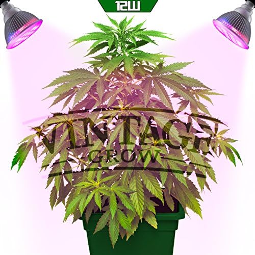 VINTAGE GROW | Best LED Grow Lights for Indoor Plants | Perfect for Seedling or Growing a Small Plant | Dual Spectrum for Veg and Flower | Efficient | More Light with Less Power and Heat | 12W Bulb