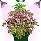 VINTAGE GROW | Best LED Grow Lights for Indoor Plants | Perfect for Seedling or Growing a Small Plant | Dual Spectrum for Veg and Flower | Efficient | More Light with Less Power and Heat | 12W Bulb