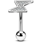 Agrewd Lighting Rook Earrings 16G Eyebrow Rook Jewelry Surgical Steel Eyebrow Rook Piercing Jewelry