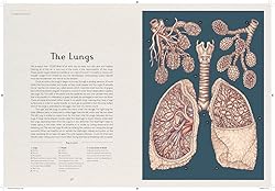 Anatomicum
