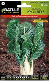 Semillas Hortícolas - Acelga verde de cortar sel. Nomonta - Batlle ...