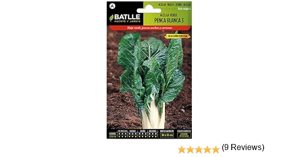 Semillas Hortícolas - Acelga verde de penca blanca 3 sel. Pencosa ...