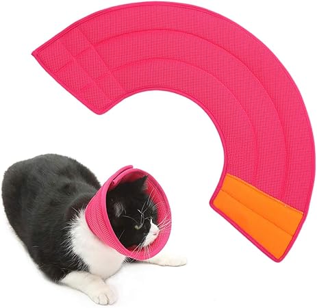 soft e collar for rabbits