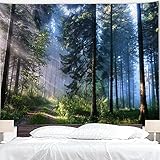 BJYHIYH Misty Forest Tapestry Wall Hanging Nature Landscape Tapestry Sunshine Through Tree Tapestries for Bedroom Living Room Dorm Decor(90.6