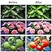 Grow Light, Grow Lamps for Indoor Plants, 27W 3-Head 90 LED Growing Chips with Auto ON & Off Timer, Adjustable 360 Degree Gooseneck, 5 Dimmable Levels, 3/9/12H Timer (Red/Blue Spectrum)