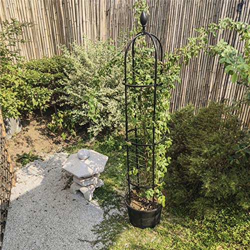YLSZHY Obelisk Rankgitter für Kletterpflanzen, Rankgerüst, Rankhilfe für Kletterpflanzen und Blumenständer (120 cm) – Bild 6