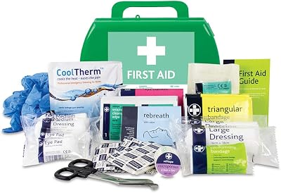 Lewis-Plast Small Premium BS8599-1 First Aid Kit (Low/High Risk) UK compliant