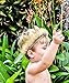 Wild Gold Max Crown Pleather Fur Play Boys Girls Dress Up Birthday Party Cake Smash Things