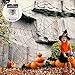 Newisland 11.8 Ft Giant Spider Web with Stretch Cobweb Set, Halloween Party Decorations