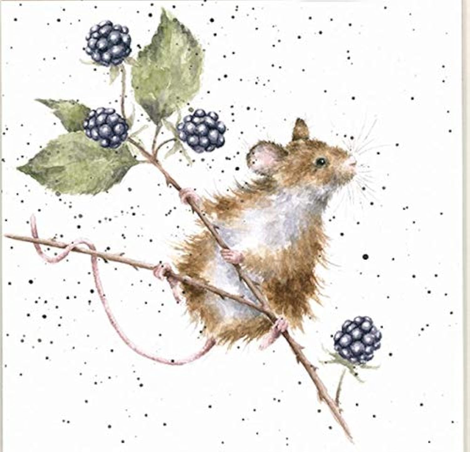 Wrendale Designs Mouse Print on White Square Canvas 20 Centimetre Brambles
