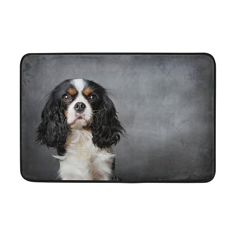 Alaza Cavalier King Charles Spaniel Chien Paillasson 157 X