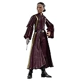 STAR WARS The Black Series Padmé Amidala, The