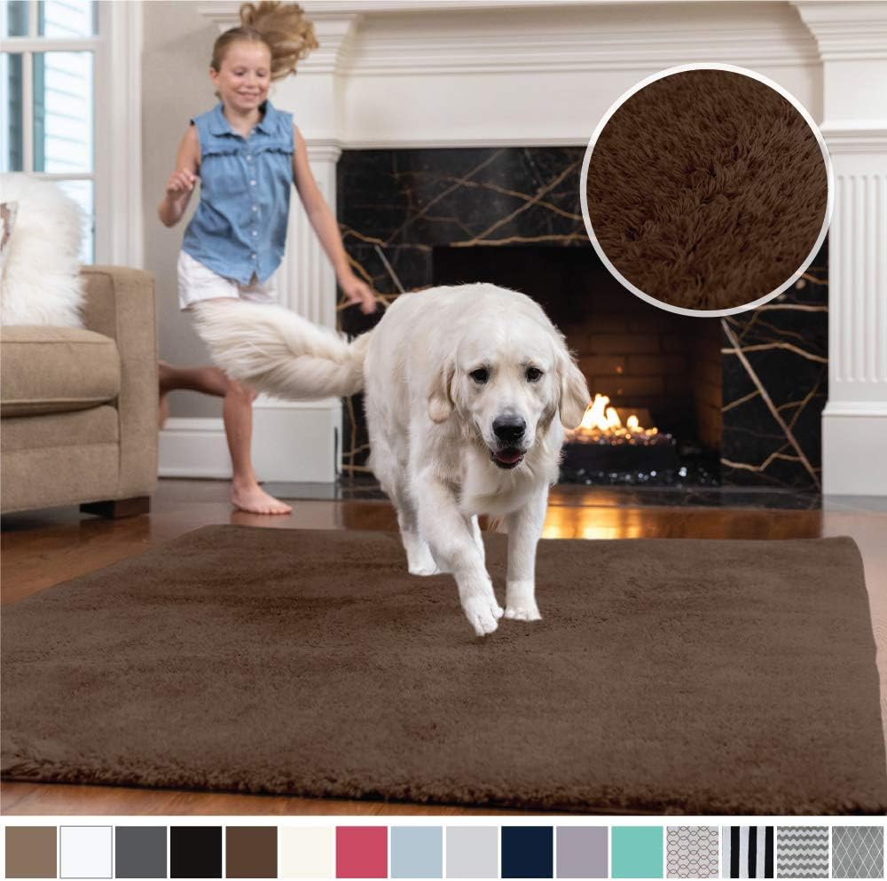 Best living room rugs brown