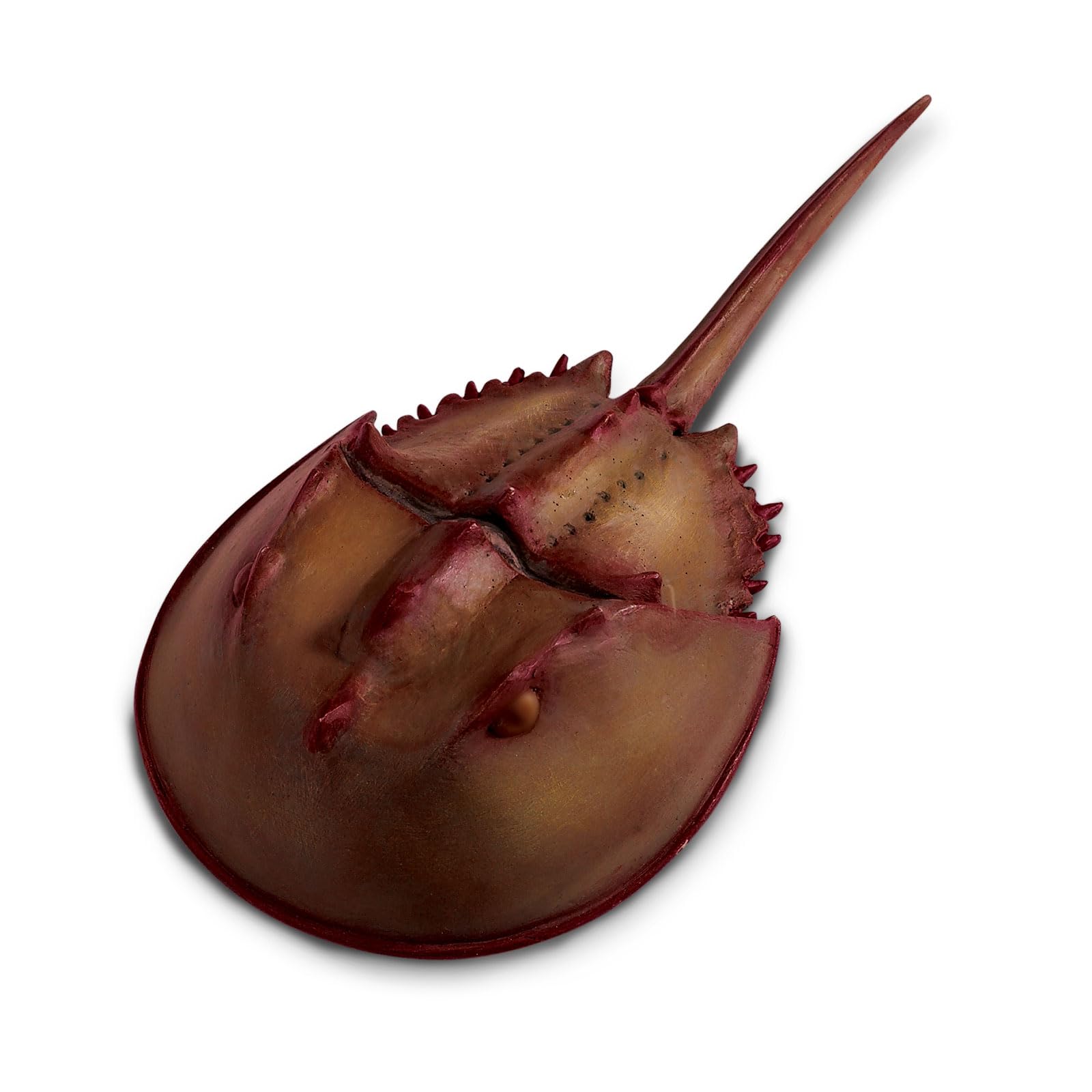 Safari 261429 Horseshoe Crab Animal Figure