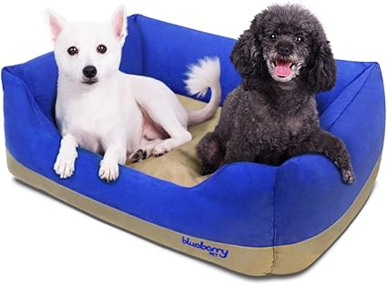 chuckit dog bed