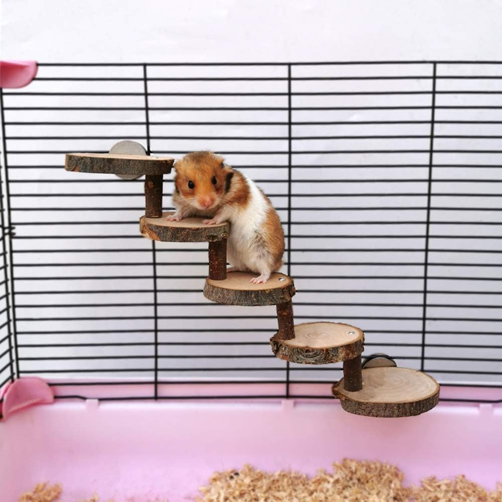 hamster chews cage
