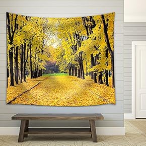 Alley in The Bright Autumn Park - Fabric Wall Tapestry Home Decor - 51x60 inches