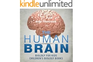 kindle best category lists