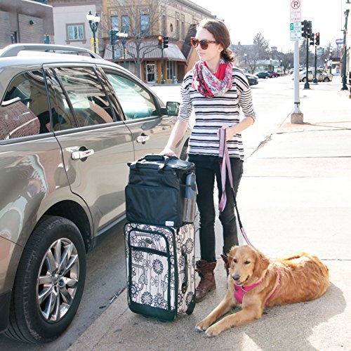 Labra Pet Dog Pet Travel Bag Carry On Luggage - Includes Bag, Pet First Aid Kit, Lined Food Containers, Collapsible Bowls and Placemat - Thumbnail 4