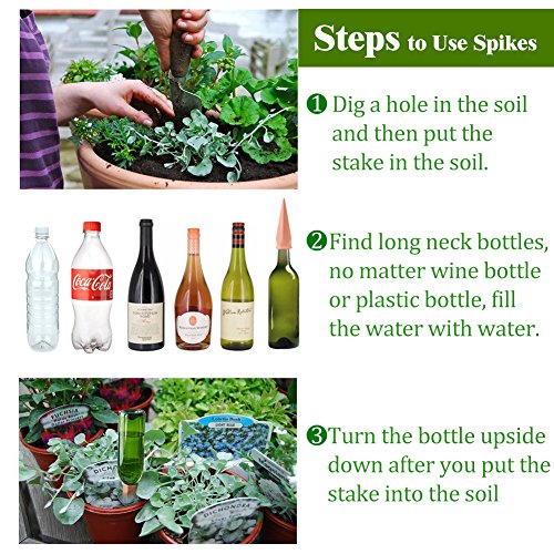 4 Watering+Devices+Terracotta+Vacation+Waterer