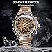 Luxury Watches for Men Mechanical Skeleton Stainless Steel Golden Timepieces Watch (A Gold Black)