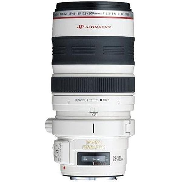 【完動品】EF 28-300mm 1:3.5-5.6 L IS USM 61w4K-XUQFL._AC_UL600_SR600,