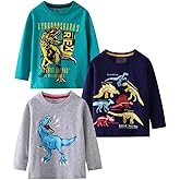 BIBNice Toddler Boy Long Sleeve Shirts Kids Cotton Fall Top Crewneck Clothes 2-7 Years