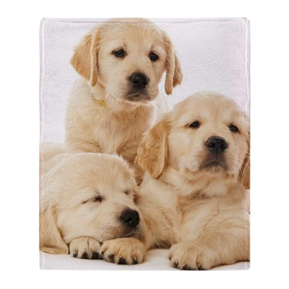 YISUMEI - Soft Fleece Blanket - Golden Retriever Puppies, 150 x 200 cm Throw Suitable for Sofa or Bed