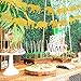 Gold Jungle Safari Animal Banner