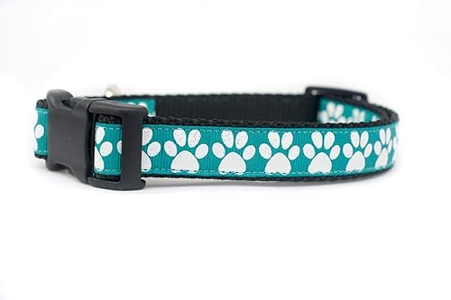 paws dog collars