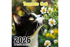 Tuxedo Cat 2026 Calendar: Black-and-white charm in striking feline portraits