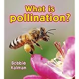 What is Pollination? (Big Science Ideas)
