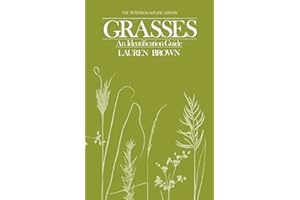 Grasses: An Identification Guide