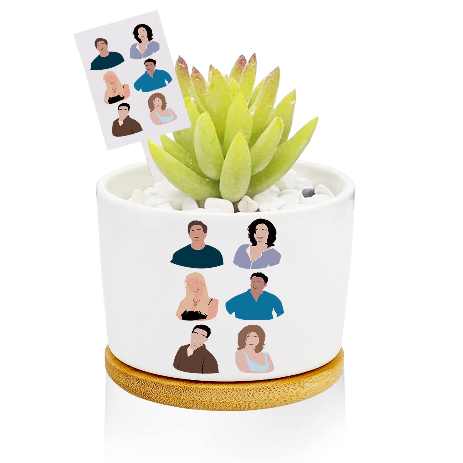 Funny TV Show Planter Pots, TV Show Merchandis
