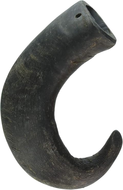 bully horn