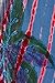 Sakkas 10SE Tasanee Caftan Tank Dress / Cover Up - Red - One Size